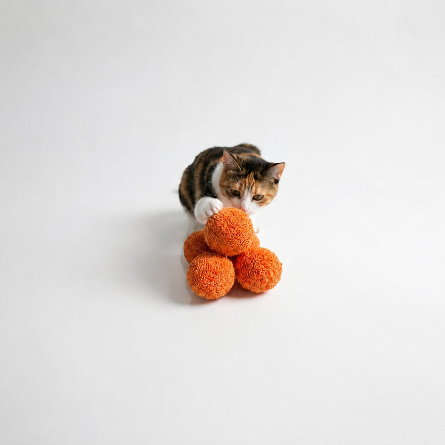 If your cat shrugs, we fix it